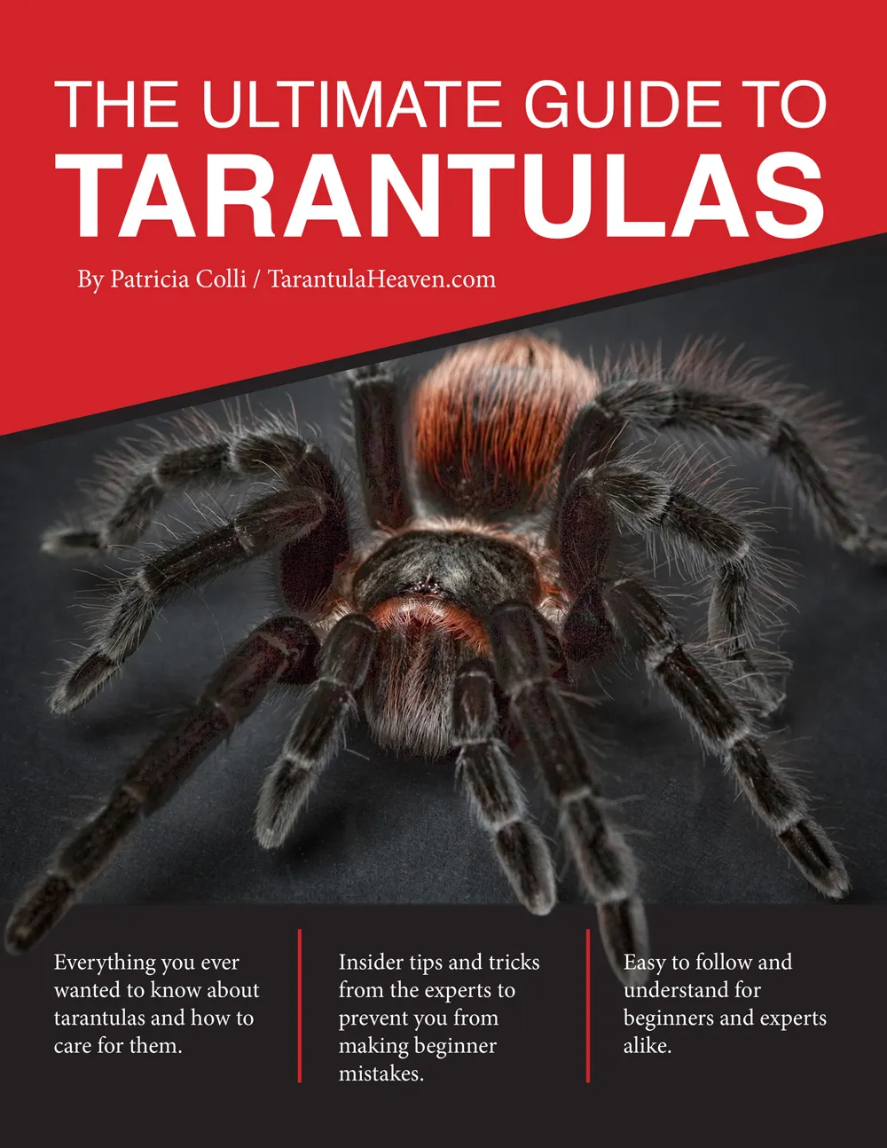 14863 tarantula handling