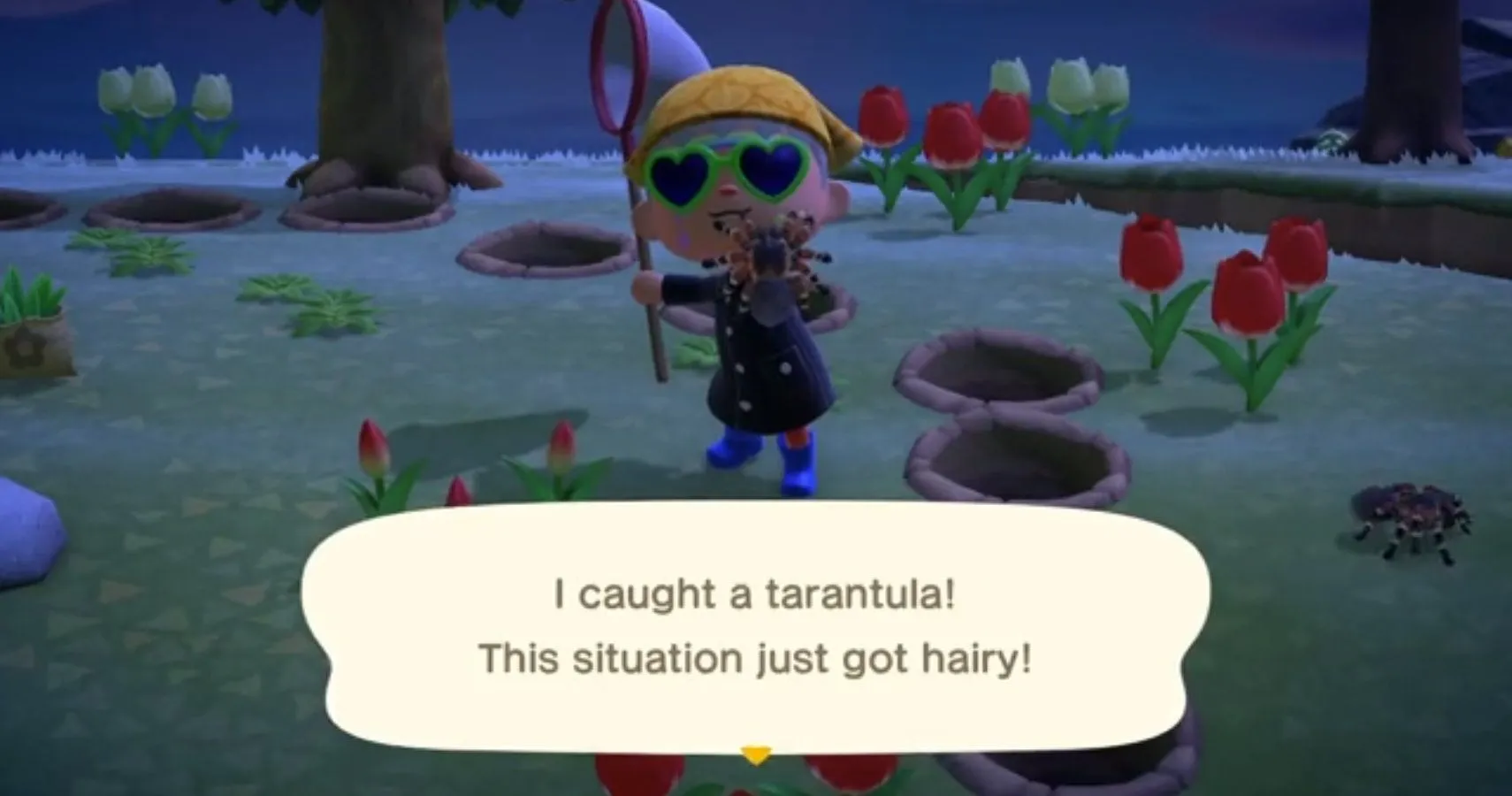 14878 animal crossing tarantula approach