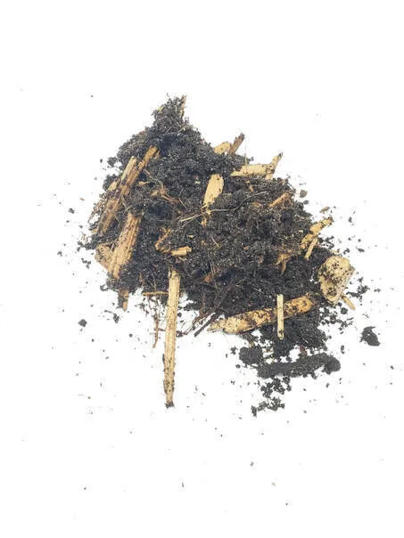 14879 tarantula substrate cleaning