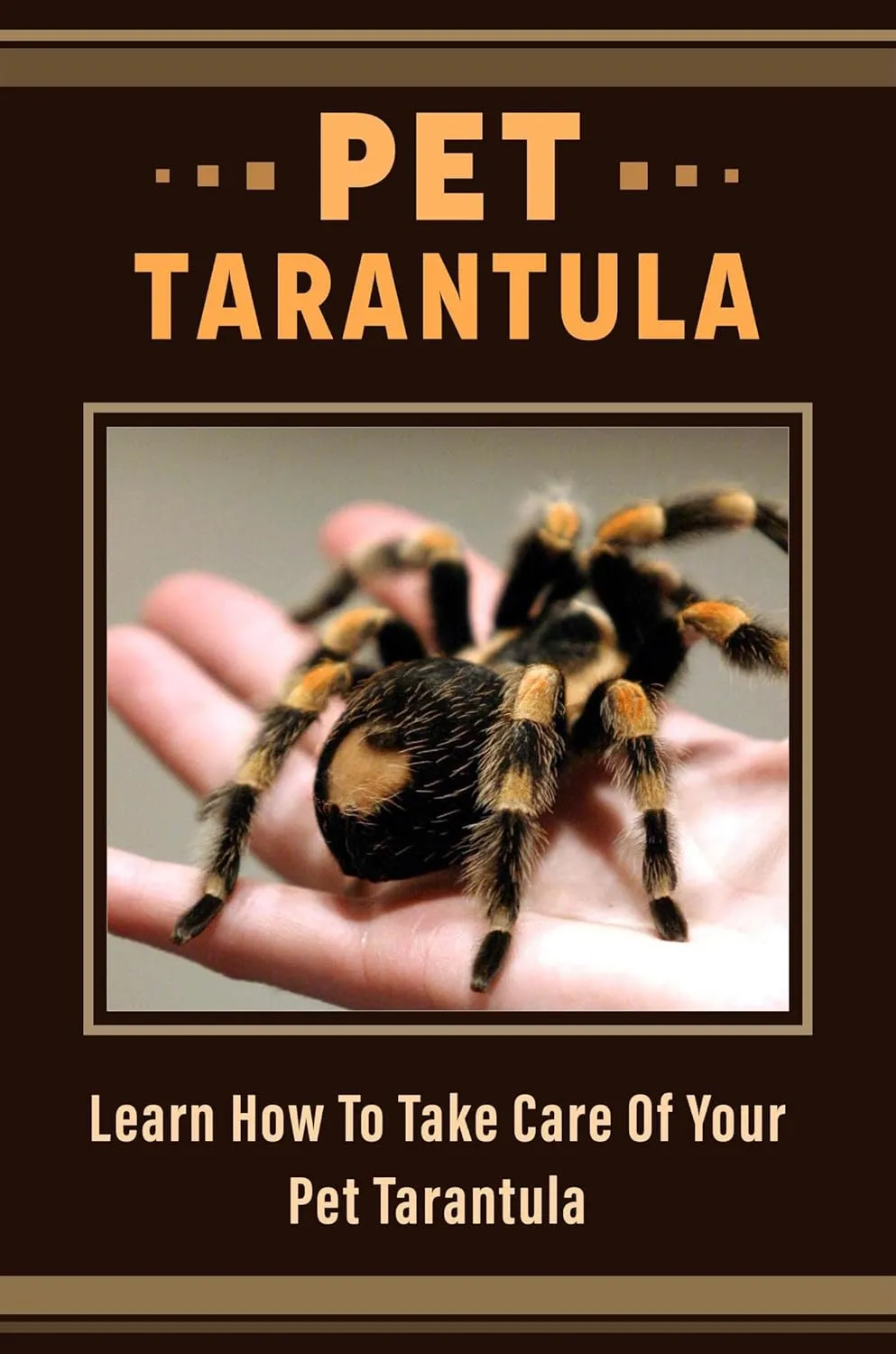 /img/14880-tarantula-species.webp