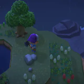 /img/14892-tarantula-bite-animal-crossing.webp