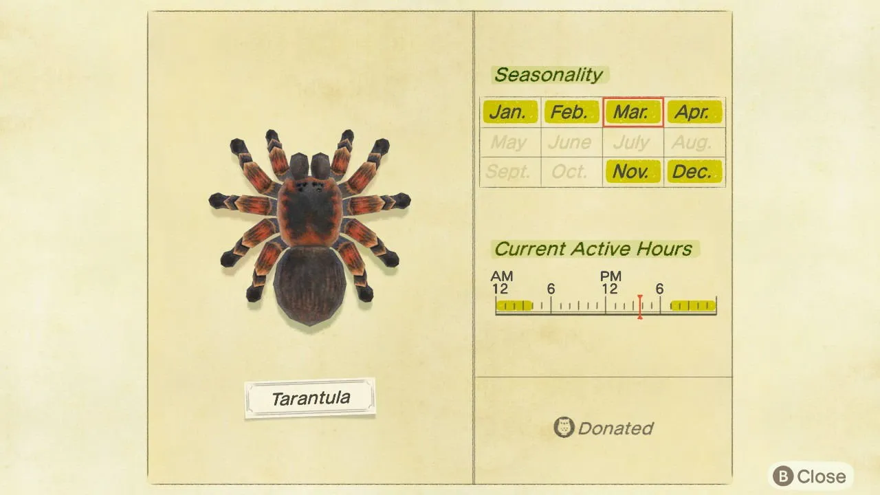 14895 animal crossing new leaf tarantula island