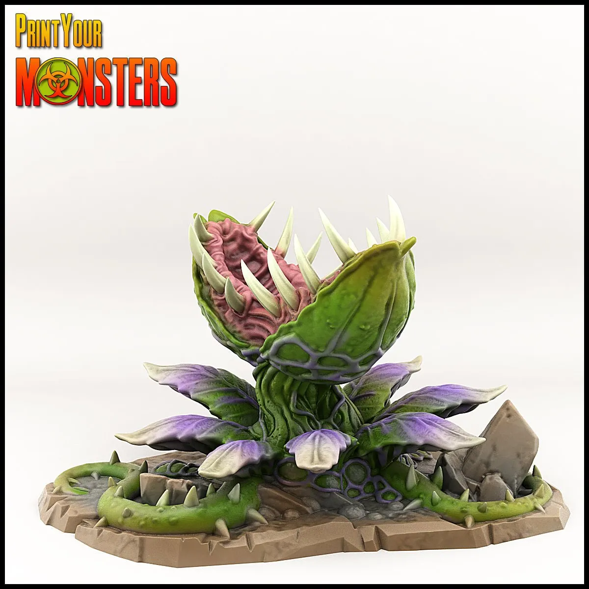 14904 venus fly trap digestion