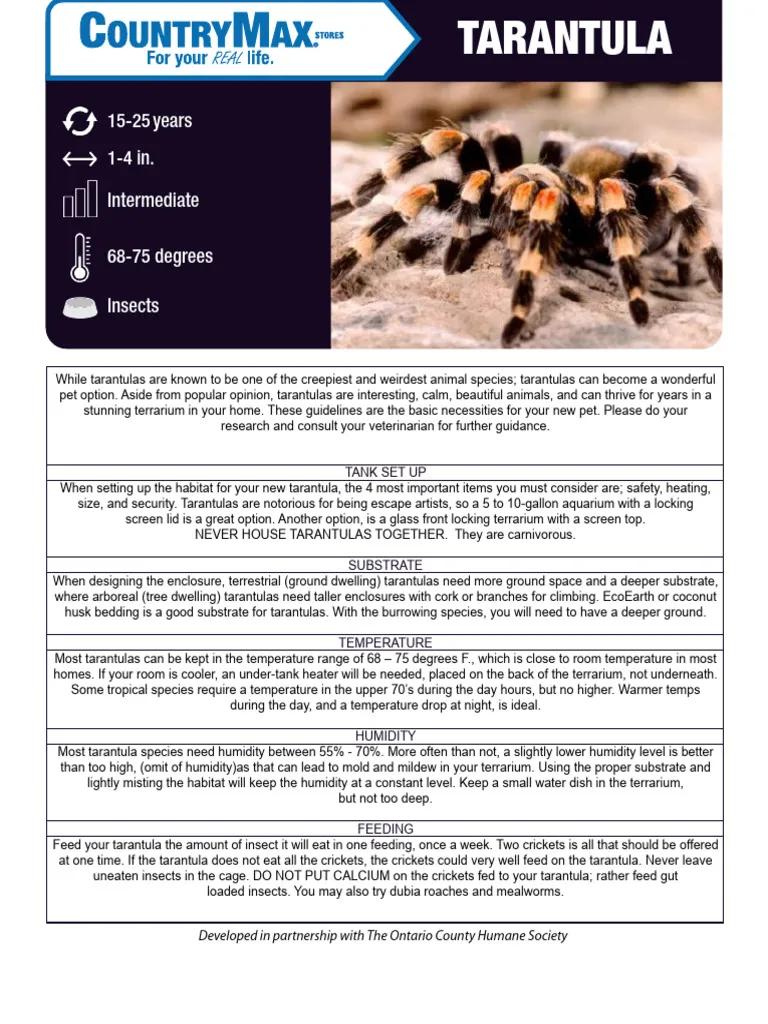 14908 tarantula species