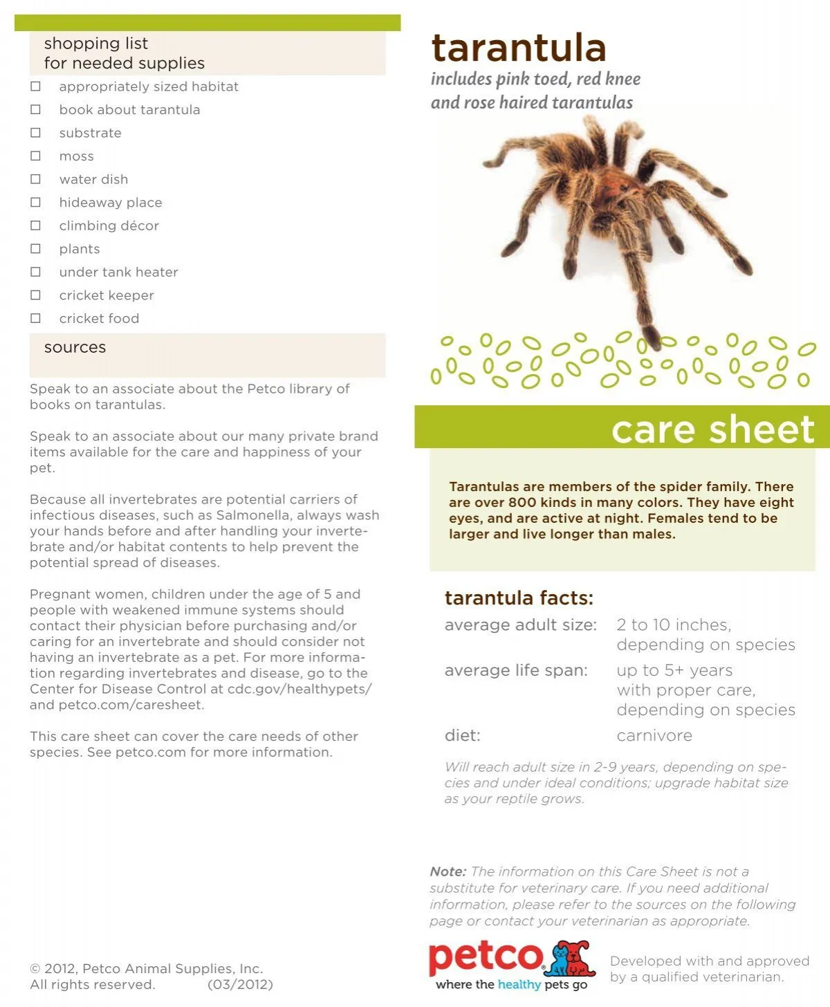 14908 tarantula thermometer