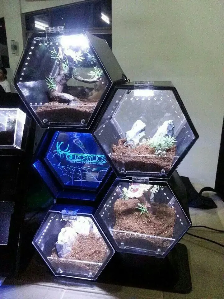 14910 tarantula enclosure overview