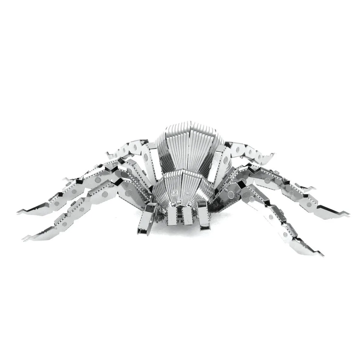 14916 tarantula behavior