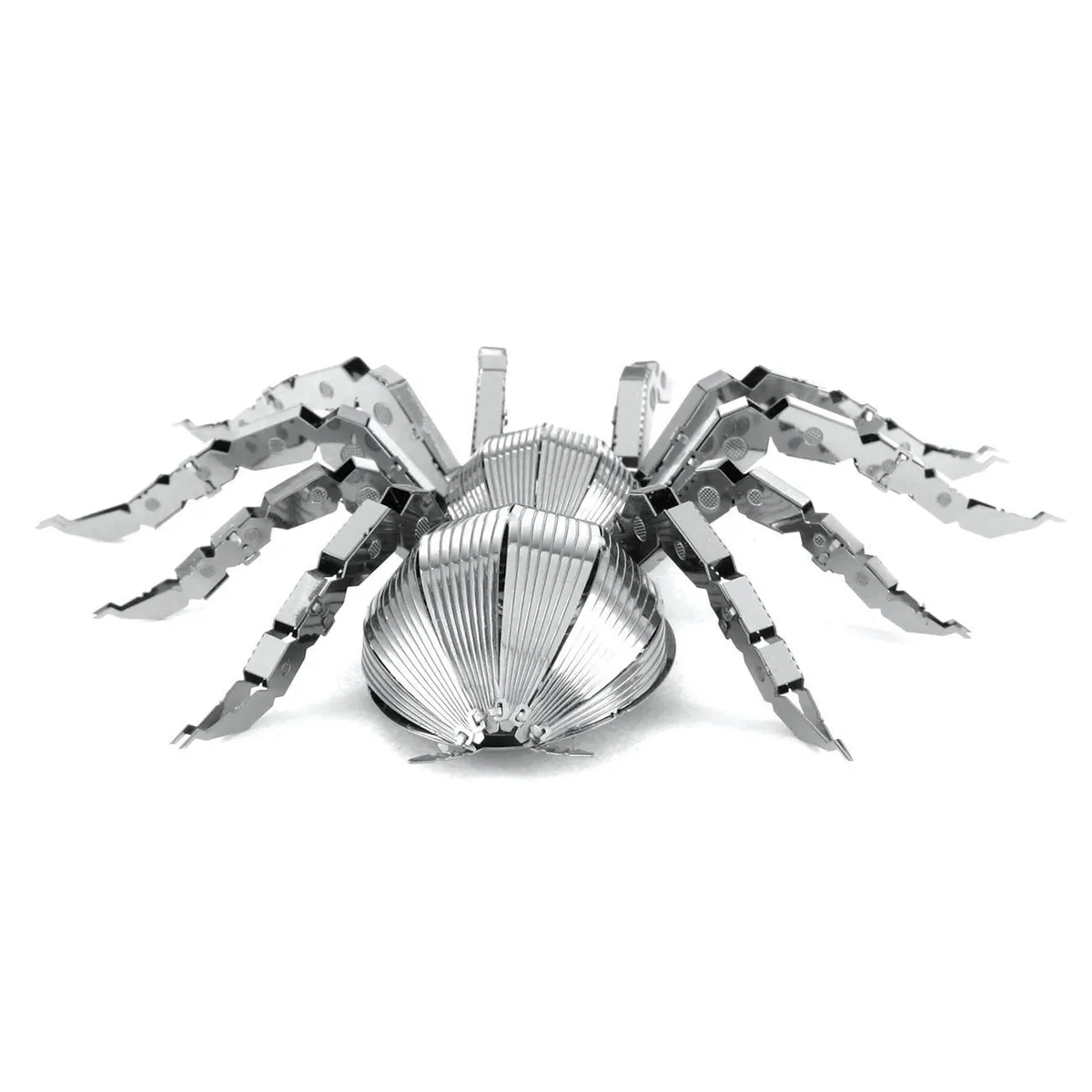 14916 tarantula hobbyist