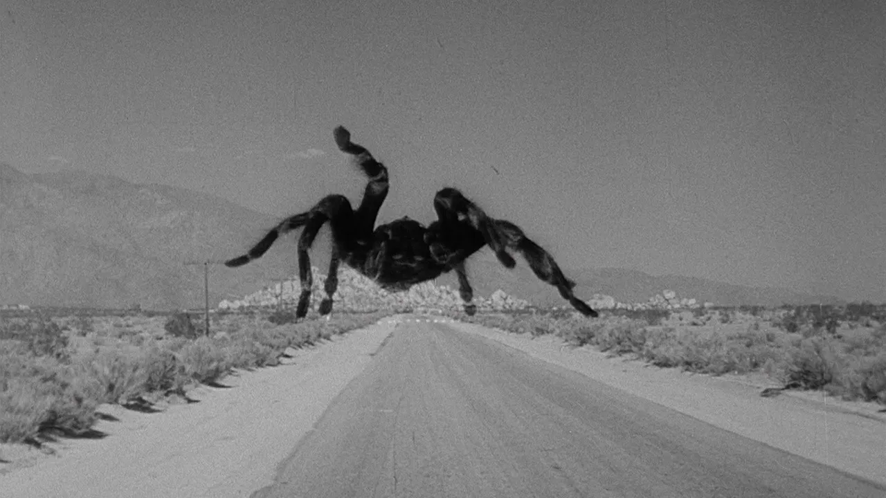 14924 tarantula movie trailer image1