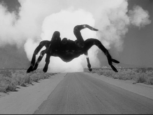 14925 tarantula biology