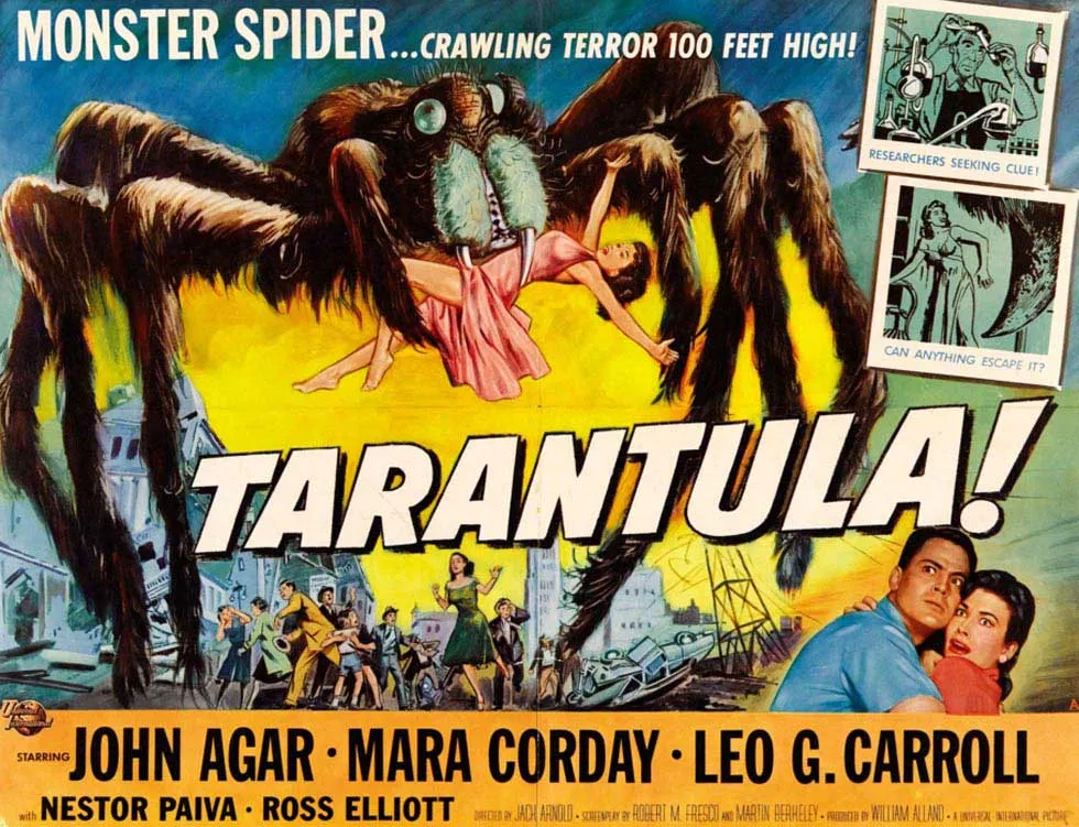 /img/14925-tarantula-viewing-tips.webp