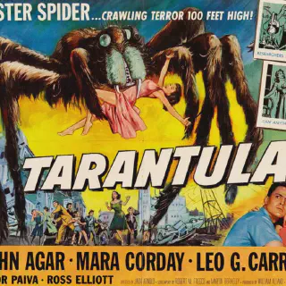 /img/14925-tarantula-viewing-tips.webp