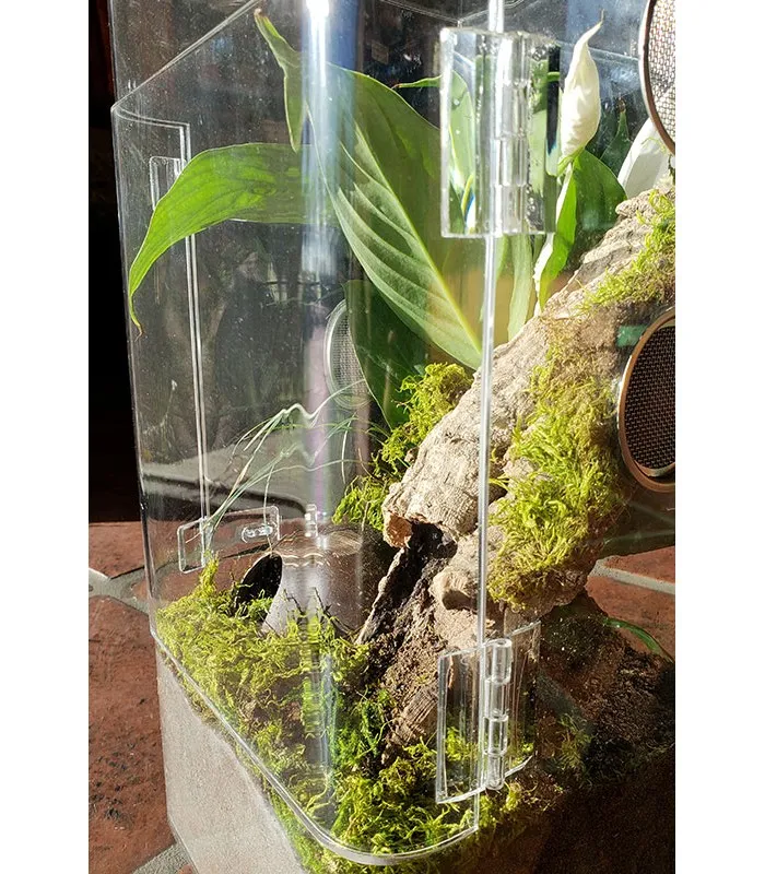 14928 tarantula humidity management