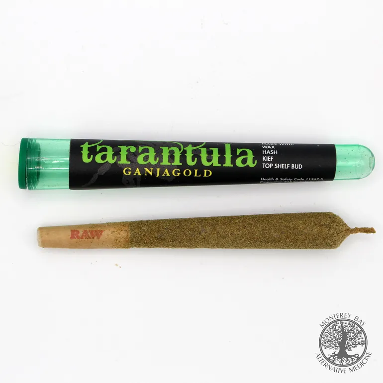 14933 kief