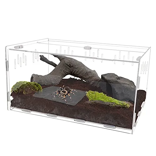 14935 tarantula quebec habitat