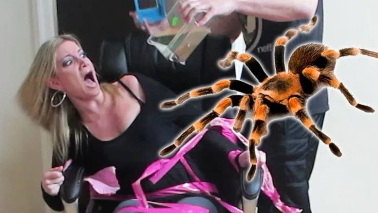 14939 capturing tarantula