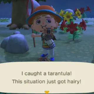 /img/14951-acnl-tarantula-bells.webp