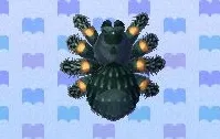14951 acnl tarantula caught