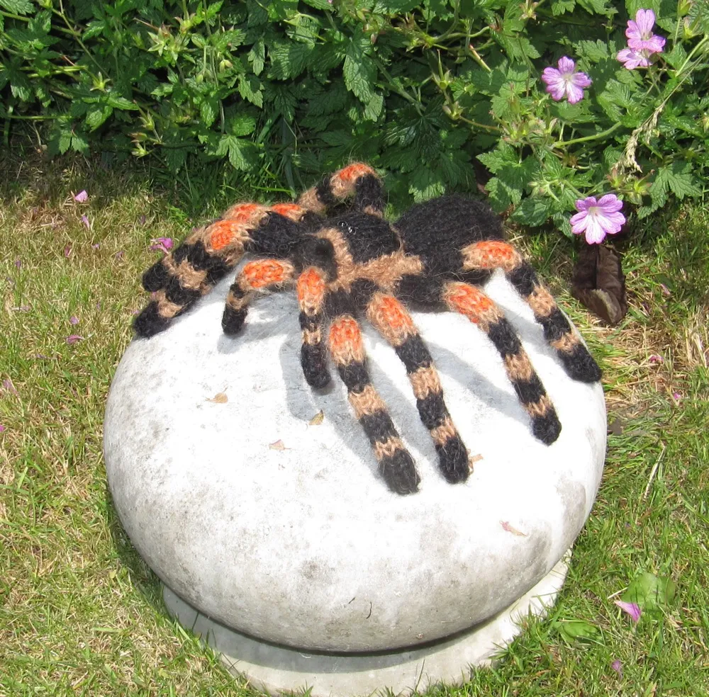 14958 tarantula enclosure