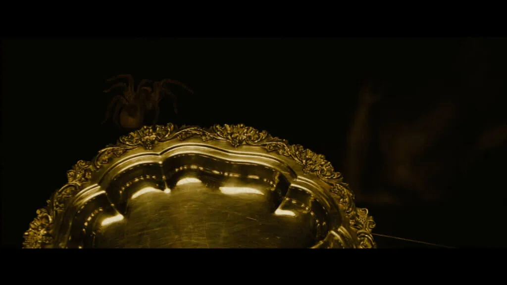 14962 tarantula alienation