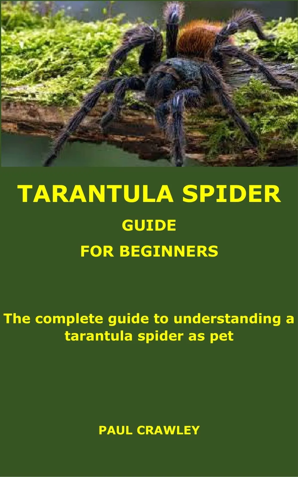 14998 tarantula feeding