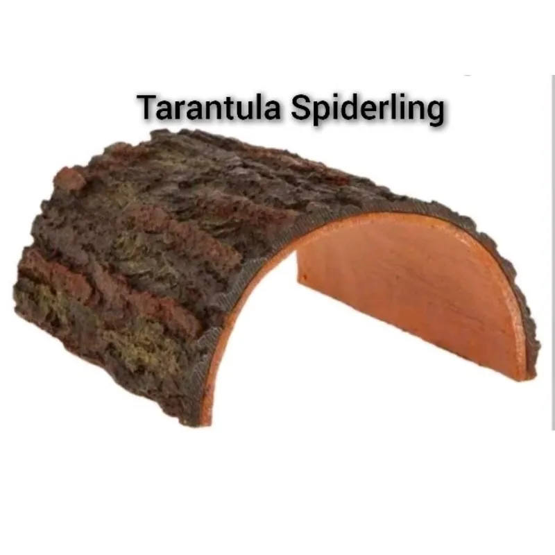 15003 tarantula sling hiding