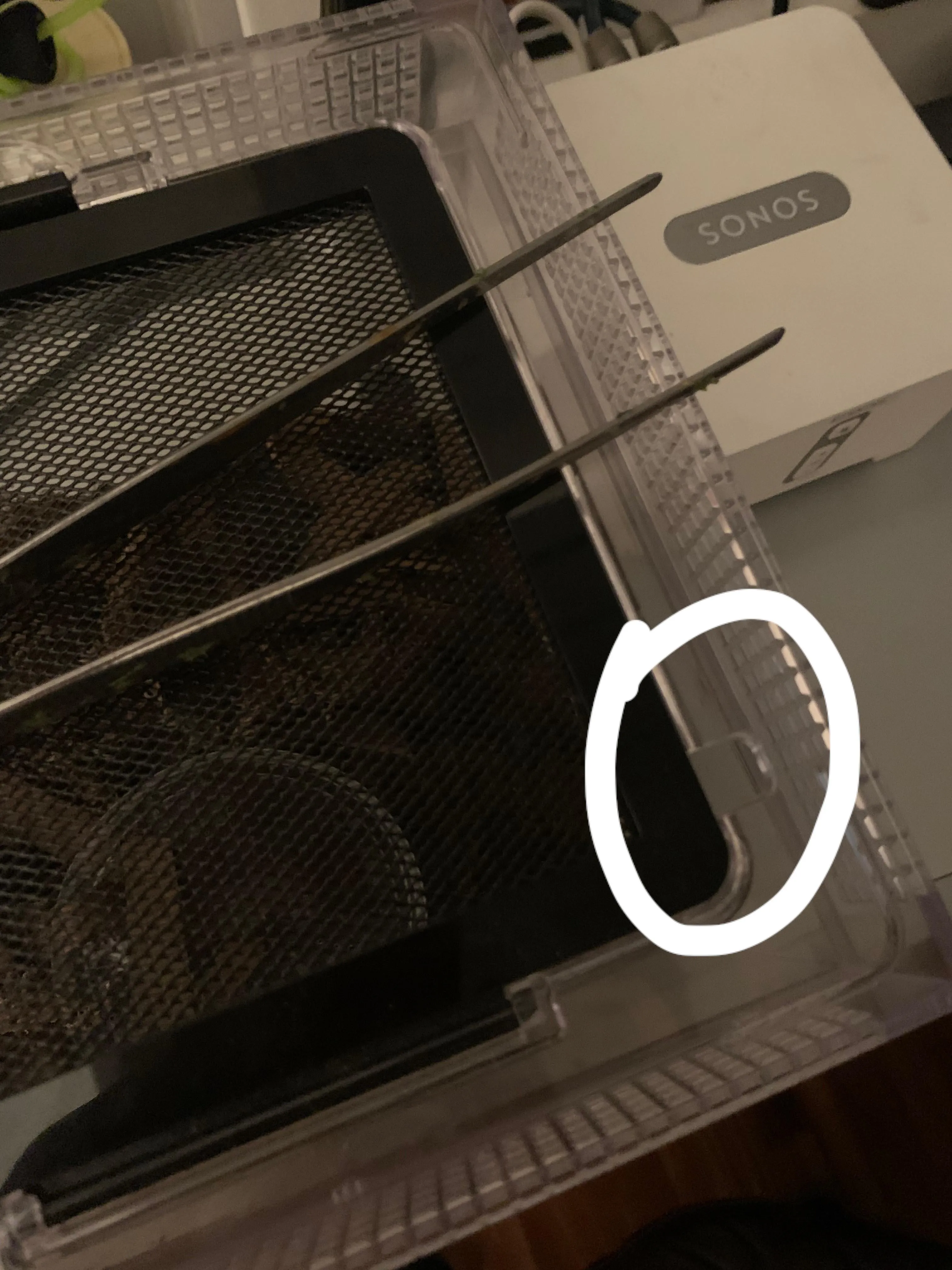 15003 tarantula sling inspecting