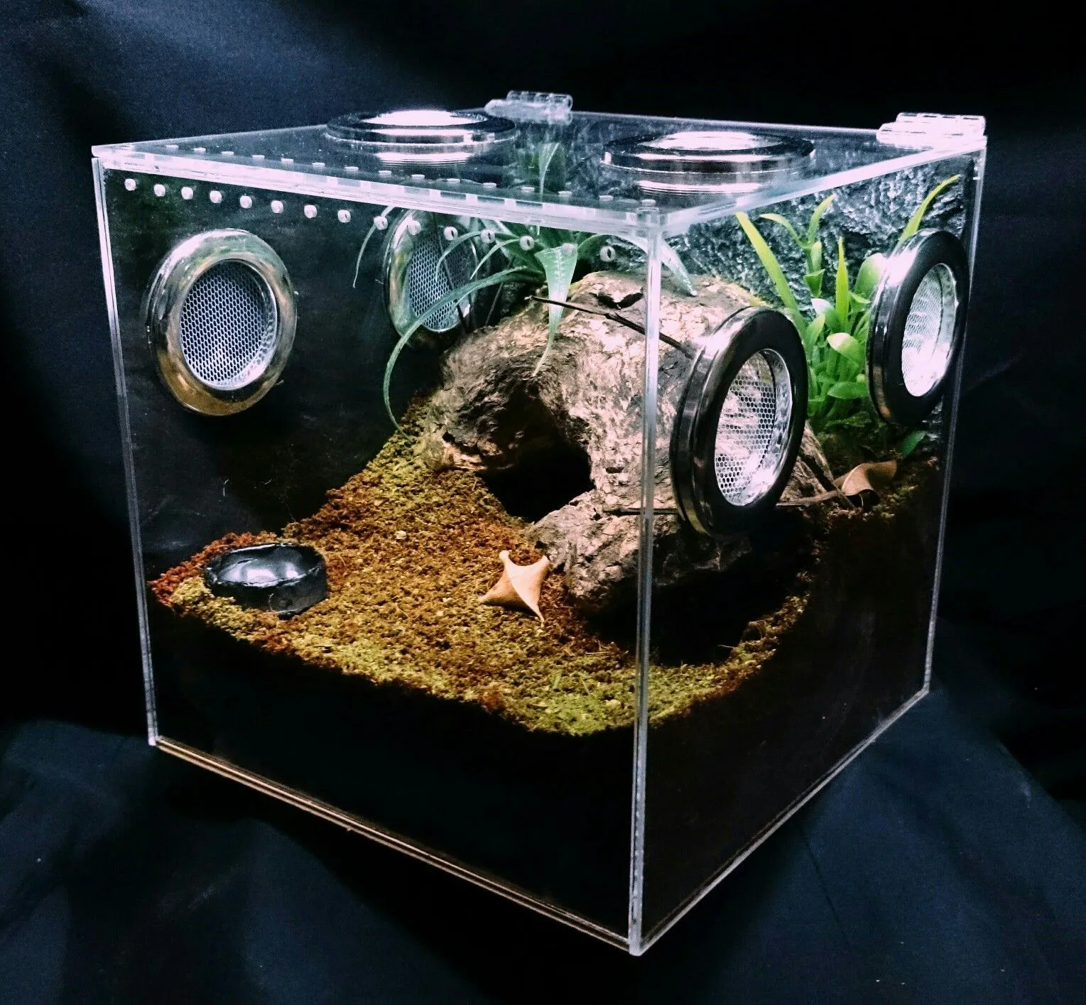 /img/15005-tarantula-enclosure-decor.webp