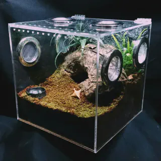 /img/15005-tarantula-enclosure-decor.webp
