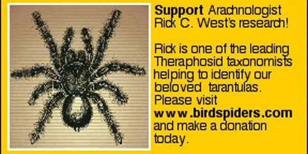 15006 rick west tarantula feeding