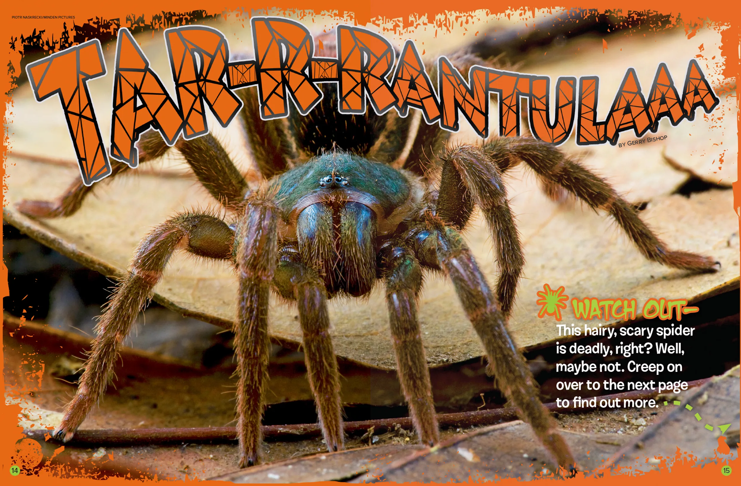 15006 rick west tarantula size