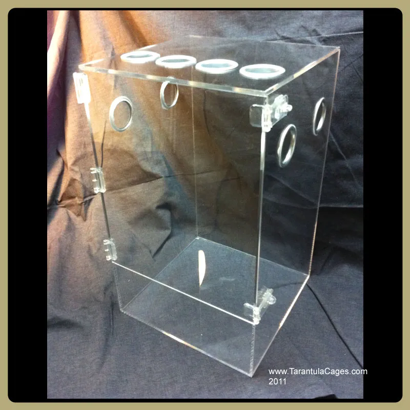 15008 tarantula cage accessibility