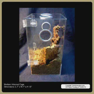 /img/15008-tarantula-cage-cleaning.webp