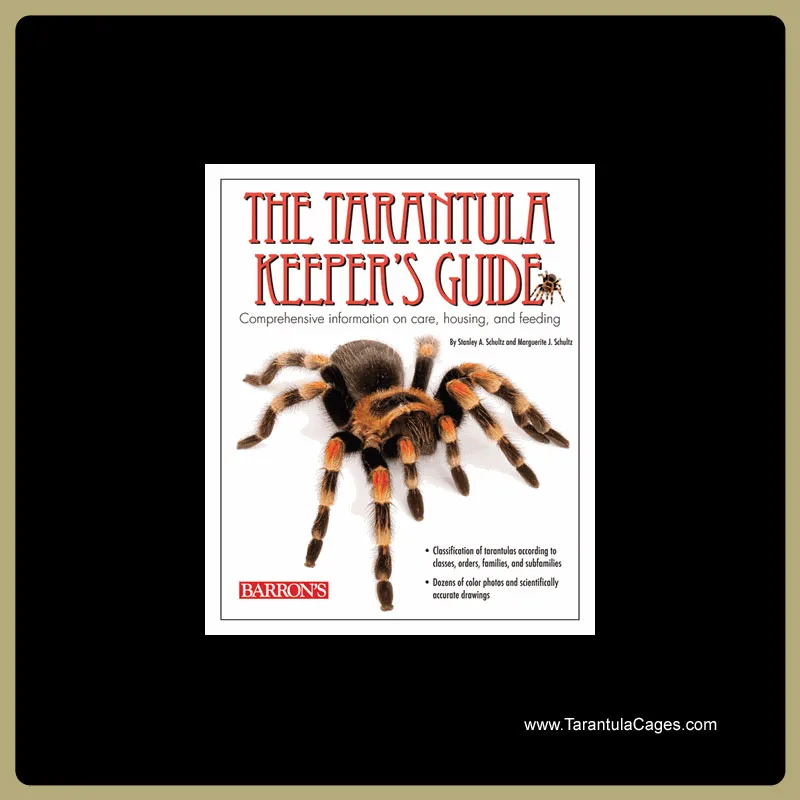 15008 tarantula cage decor