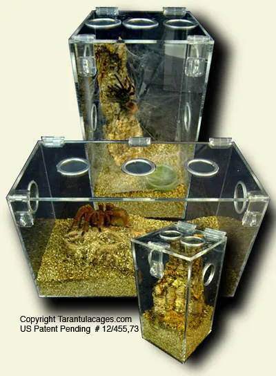 15008 tarantula cage overview