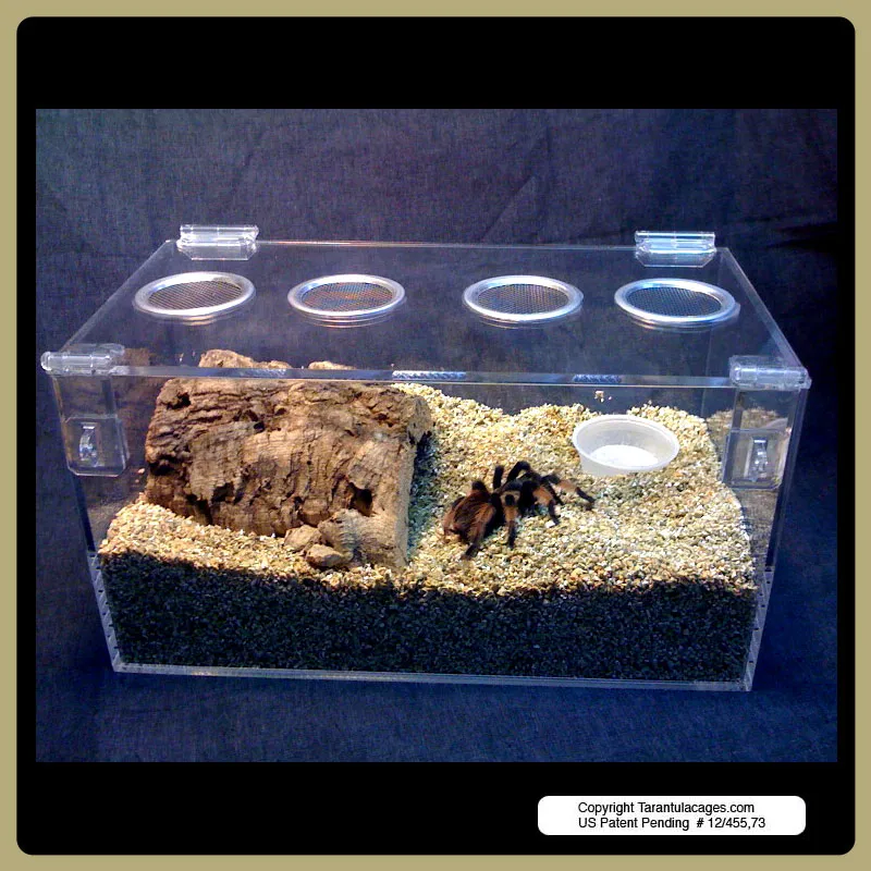 15008 tarantula cage ventilation