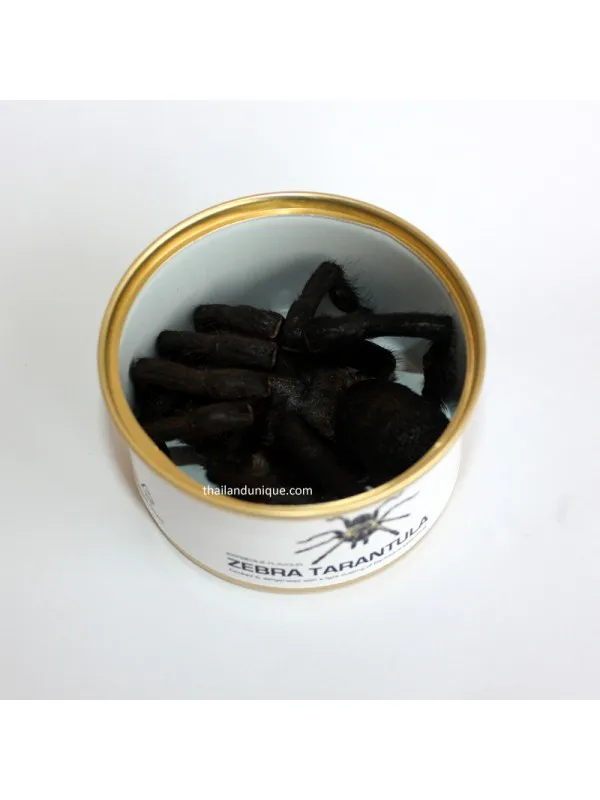 15029 edible tarantula uk dish