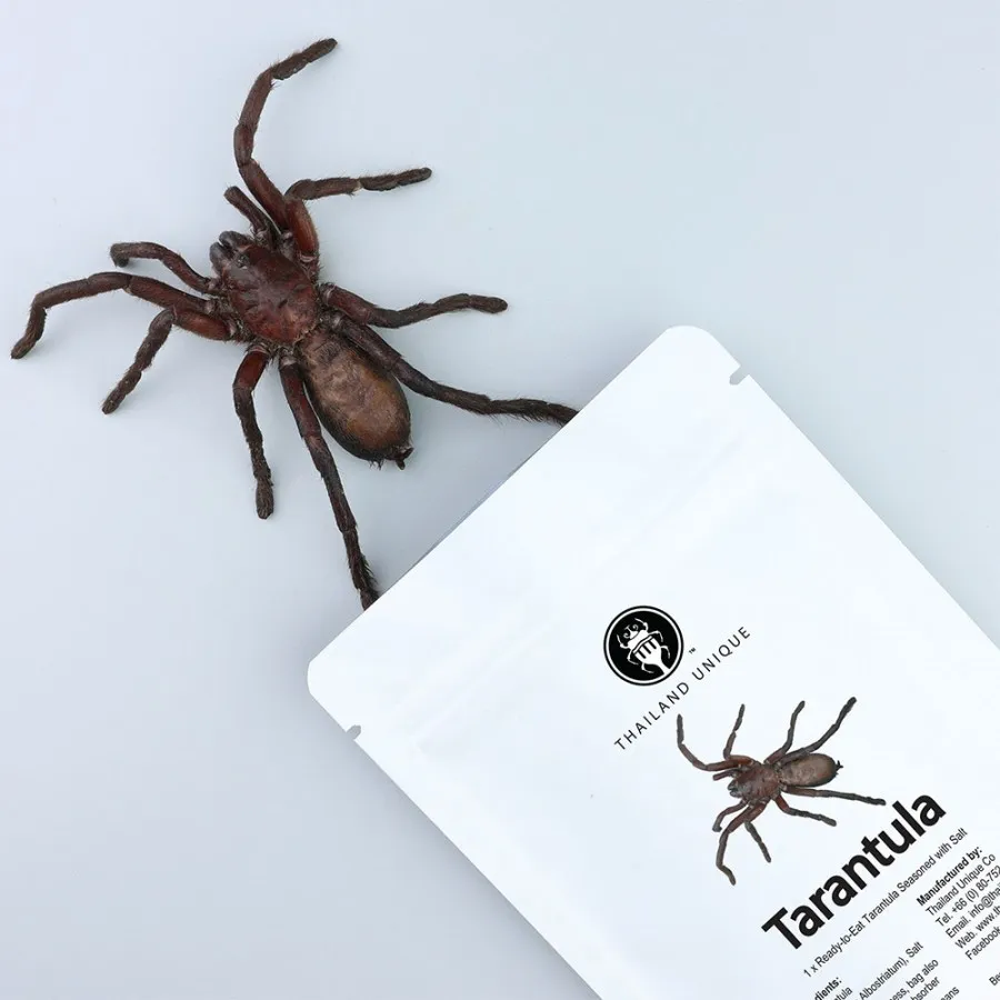 15029 tarantula frying