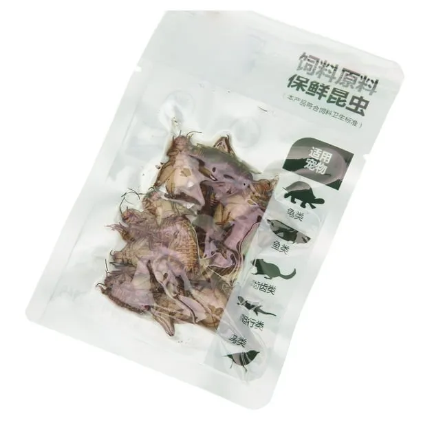 15039 dead crickets tarantula