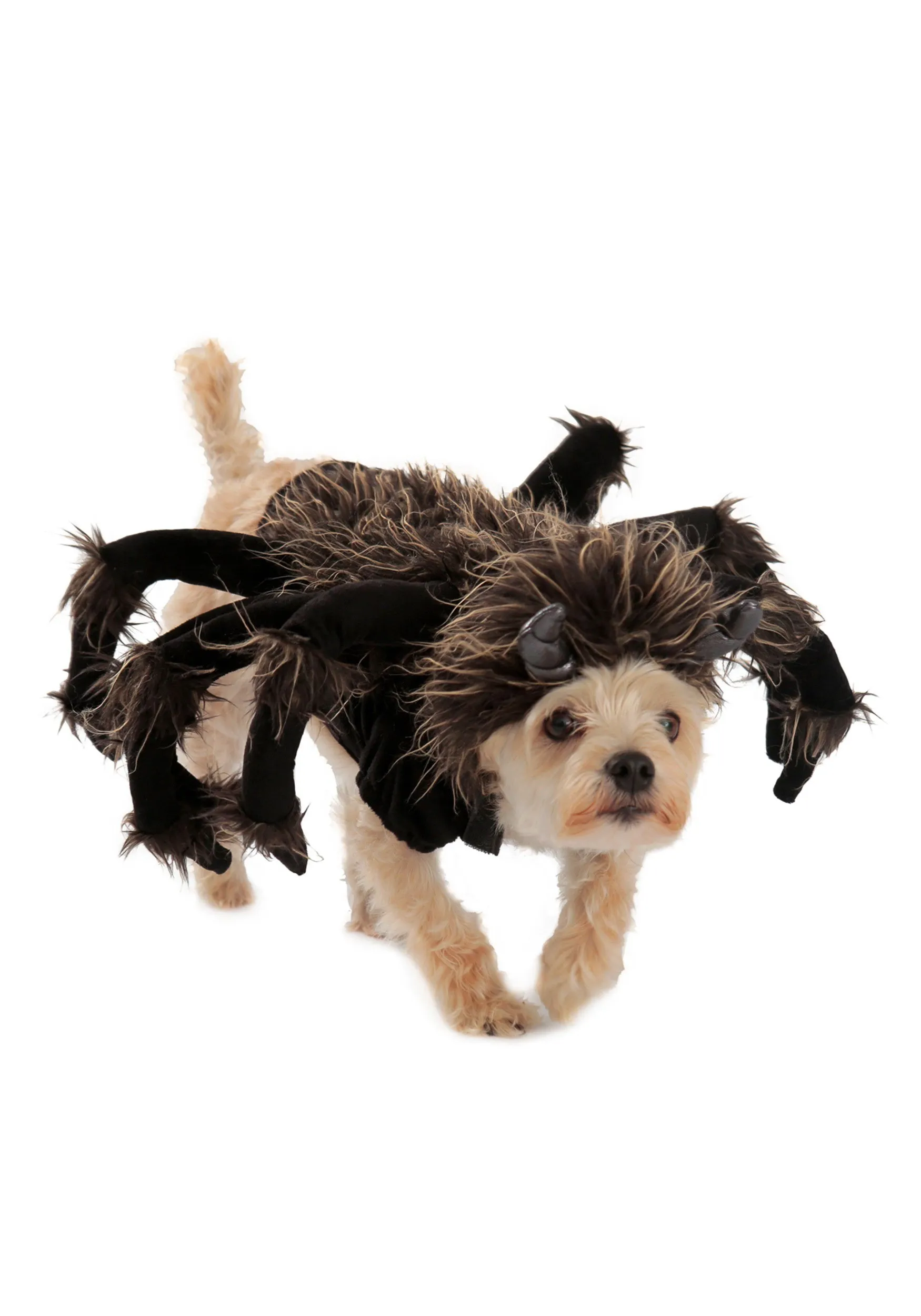 15043 dog tarantula costume body
