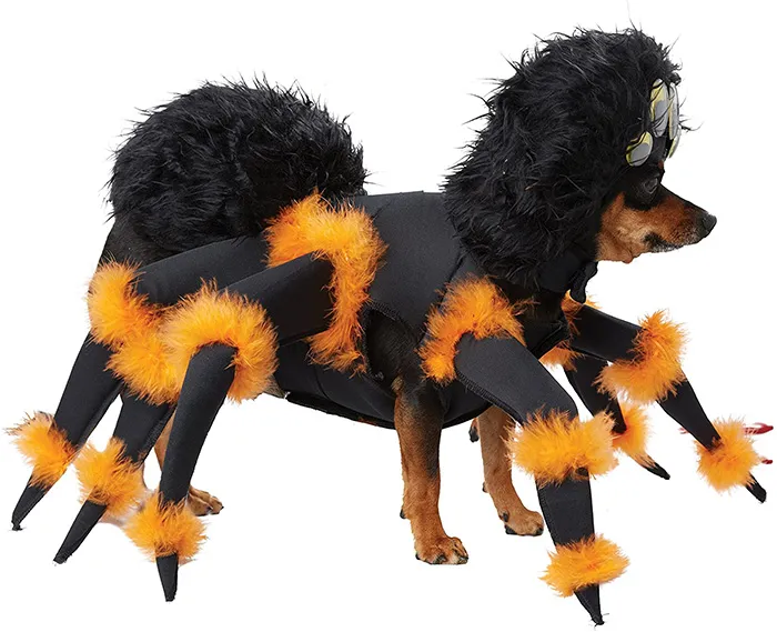 15043 dog tarantula costume positive reinforcement