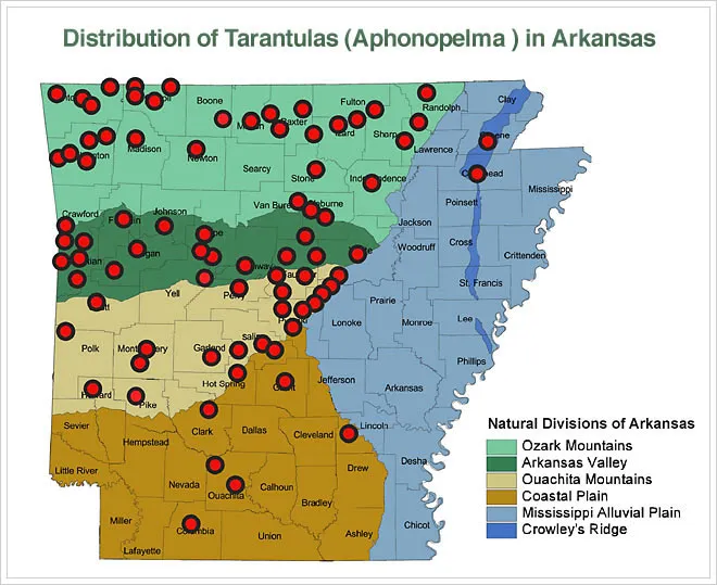 15048 tarantula habitat southeast