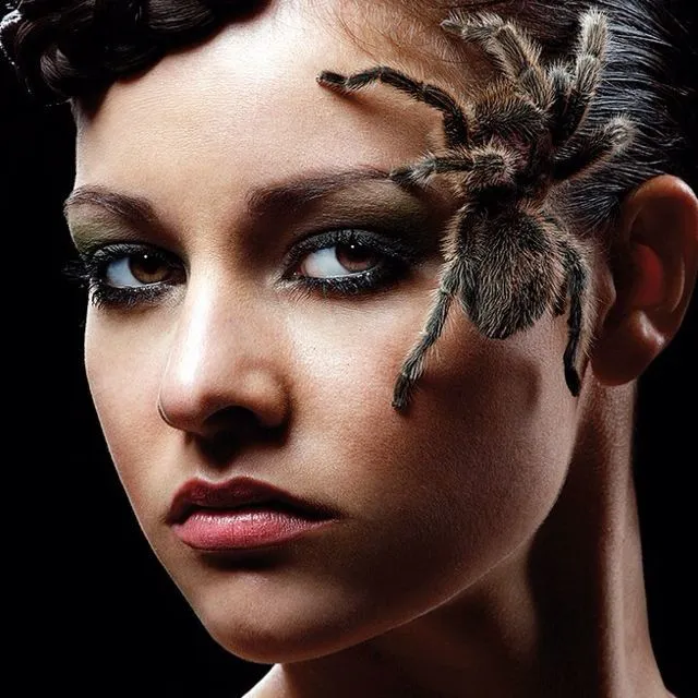 /img/15058-tarantula-face-mask-image3.webp