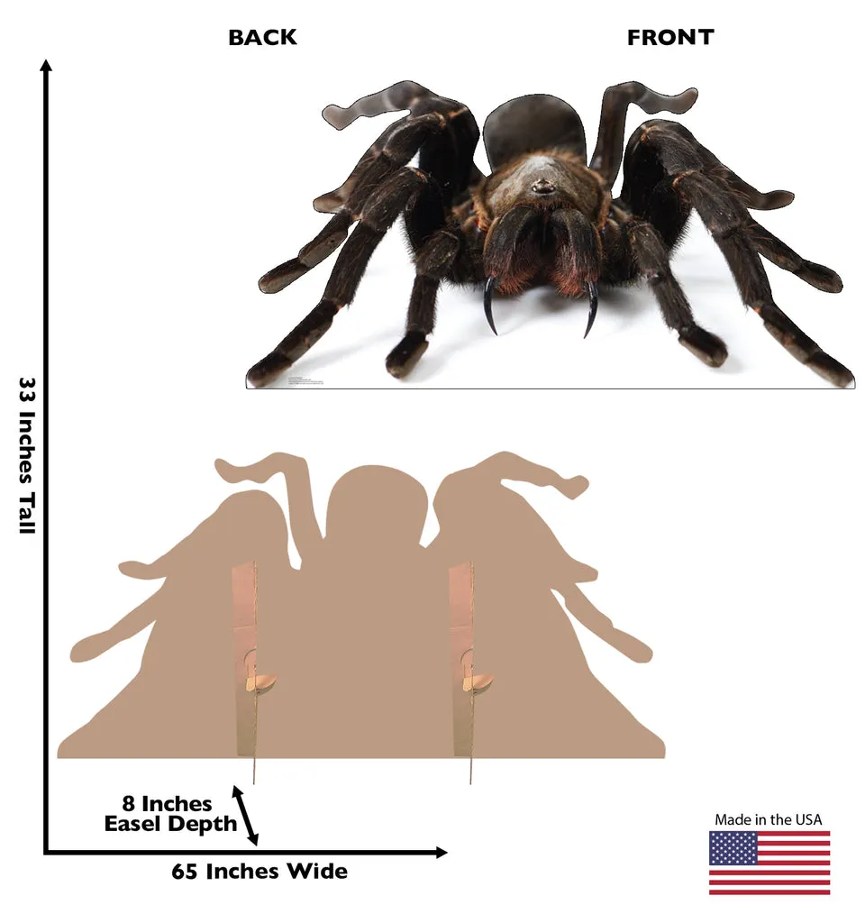 15061 tarantula size measurement