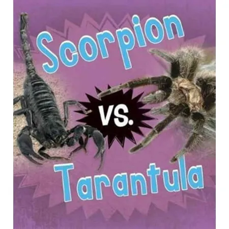 15069 tarantula close up