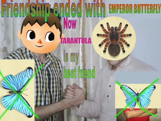 15072 acnh tarantula bells
