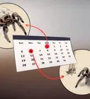 15074 misting tarantula