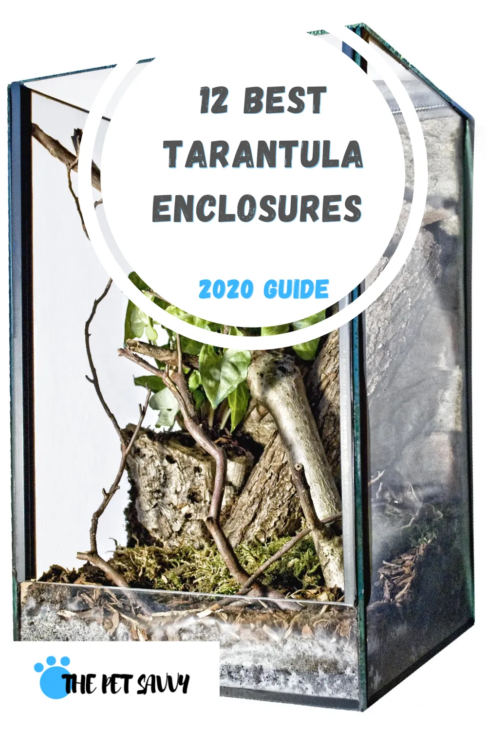 15081 tarantula water dish