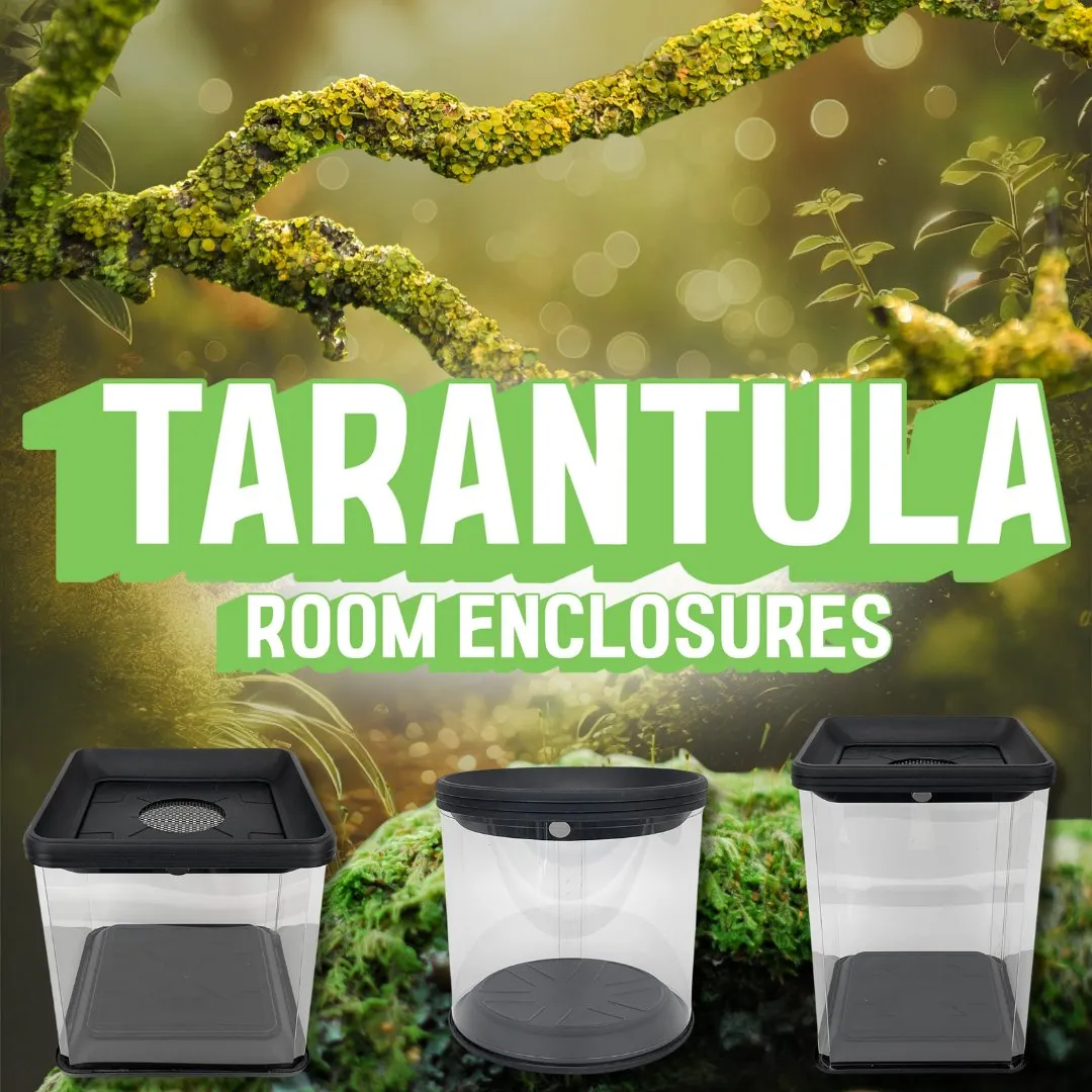 15082 tarantula enclosure size