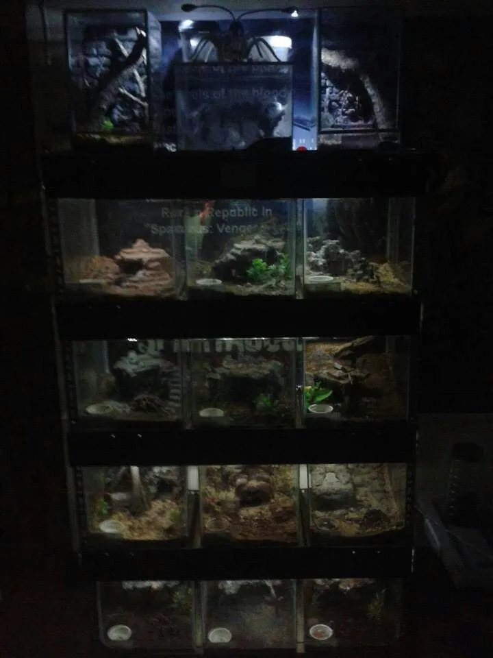 15082 tarantula ventilation